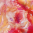 Brassière Lush - Peach Blossom
